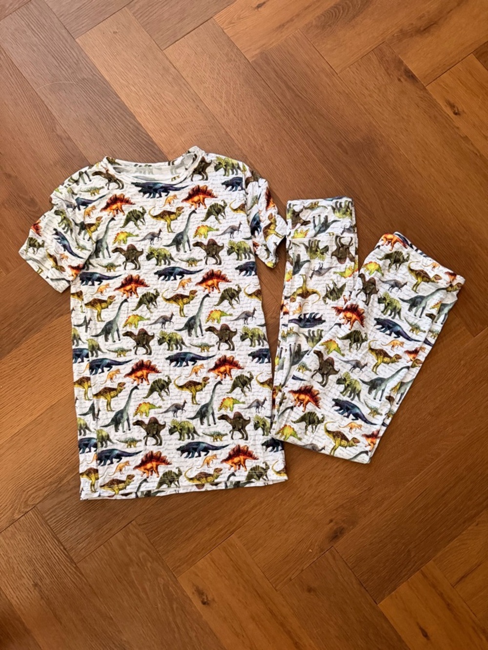 Bums & Roses Bamboo Dinosaur Pajama Set 9/10Y Dino Print Viscose Bamboo